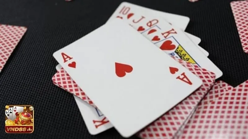 Cách chưng bài catte