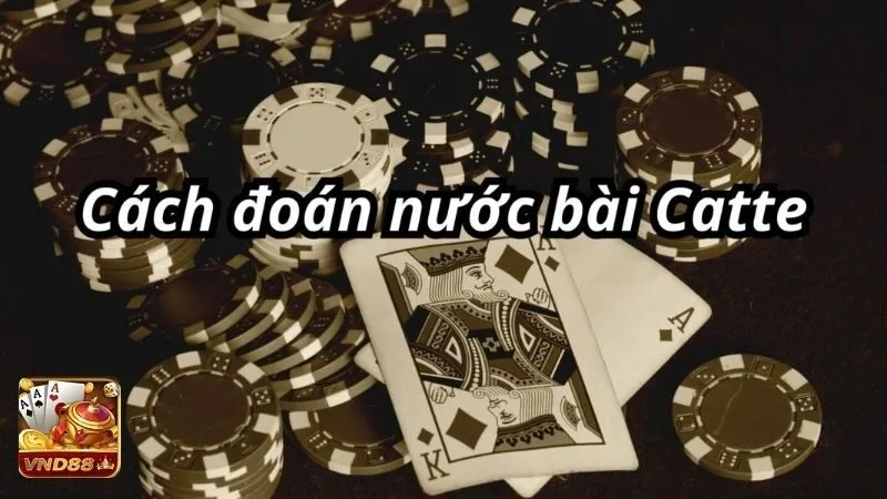 Giải mã về cách đoán nước bài catte?