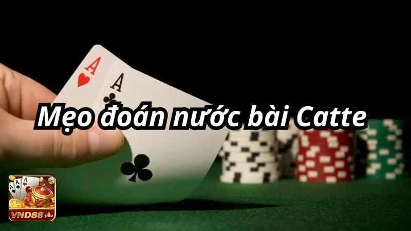 Mẹo đoán nước bài catte xanh chín